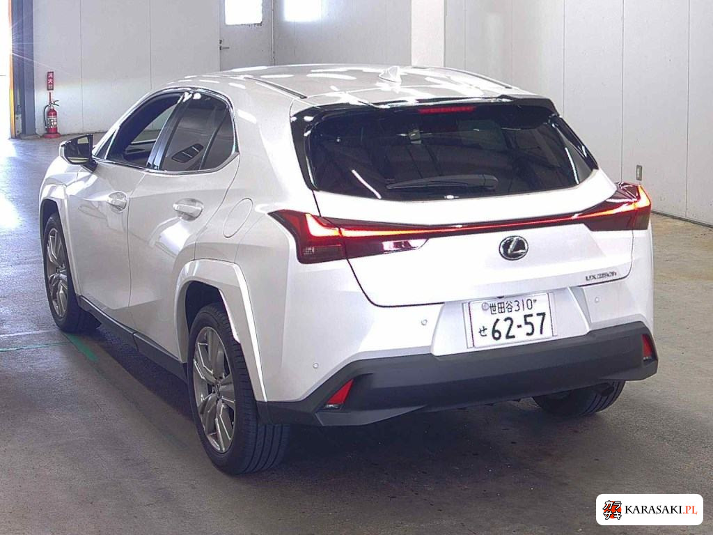 2023 Lexus Ux UX250H Graceful Explorer 2
