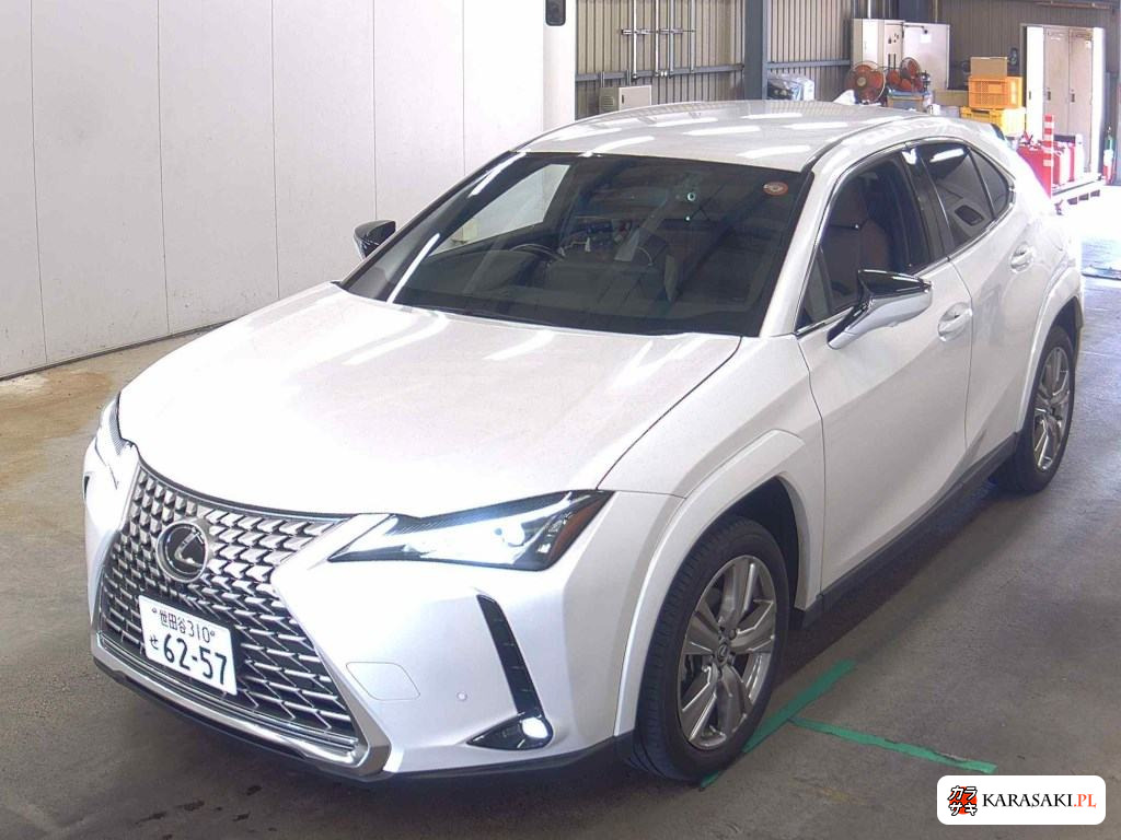 2023 Lexus Ux UX250H Graceful Explorer 3