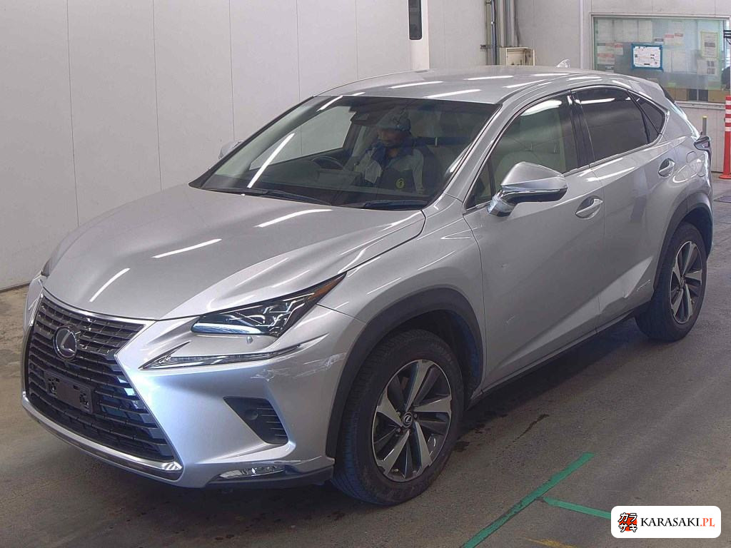 2019 Lexus NX NX300H I Package 3