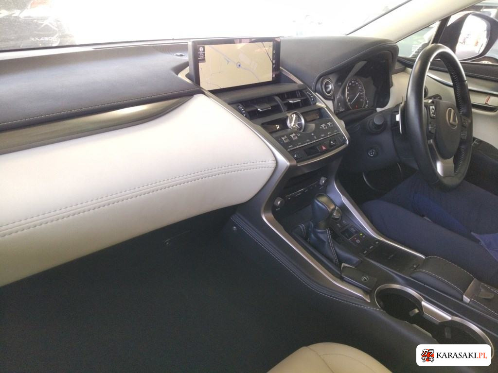 2019 Lexus NX NX300H I Package 5