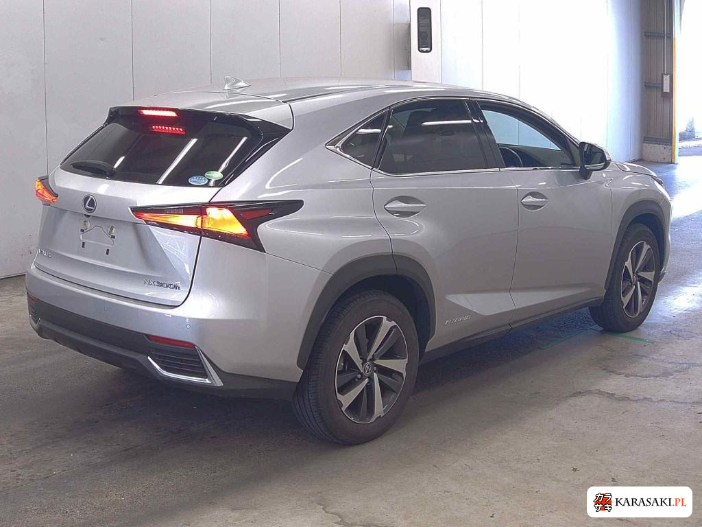 2019 Lexus NX NX300H I Package 4
