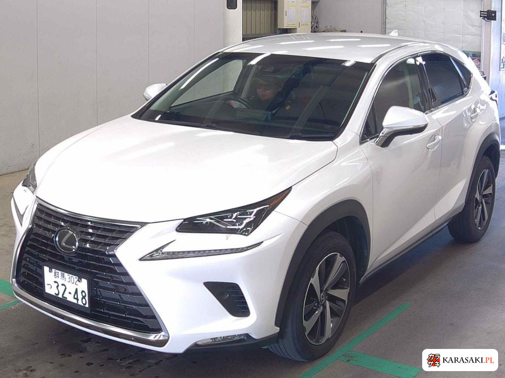 2017 Lexus NX NX300 I Package 3