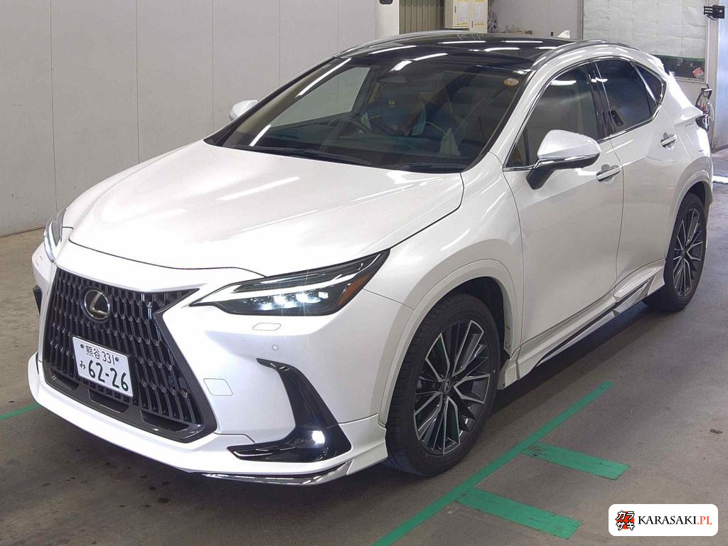 2024 Lexus NX NX250 Version L 3