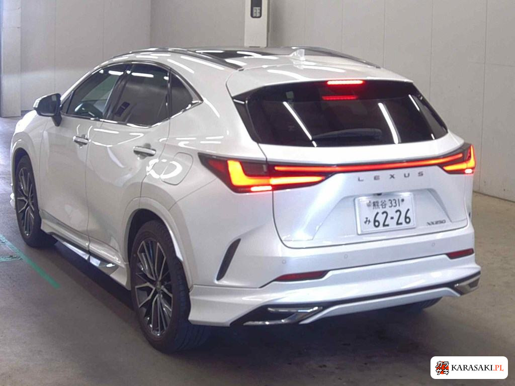 2024 Lexus NX NX250 Version L 2