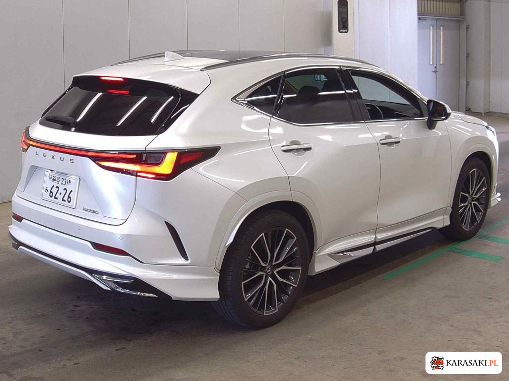 2024 Lexus NX NX250 Version L 4