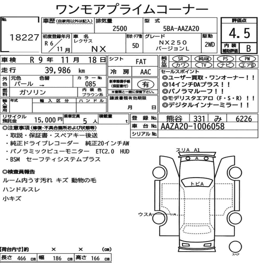 Arkusz aukcyjny — 2024 Lexus NX NX250 Version L