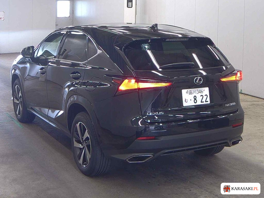 2021 Lexus NX NX300 Special Edition Spice And Chic 2