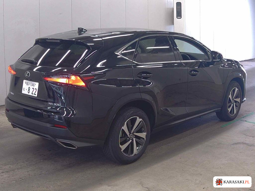 2021 Lexus NX NX300 Special Edition Spice And Chic 4
