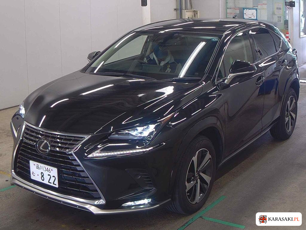 2021 Lexus NX NX300 Special Edition Spice And Chic 3
