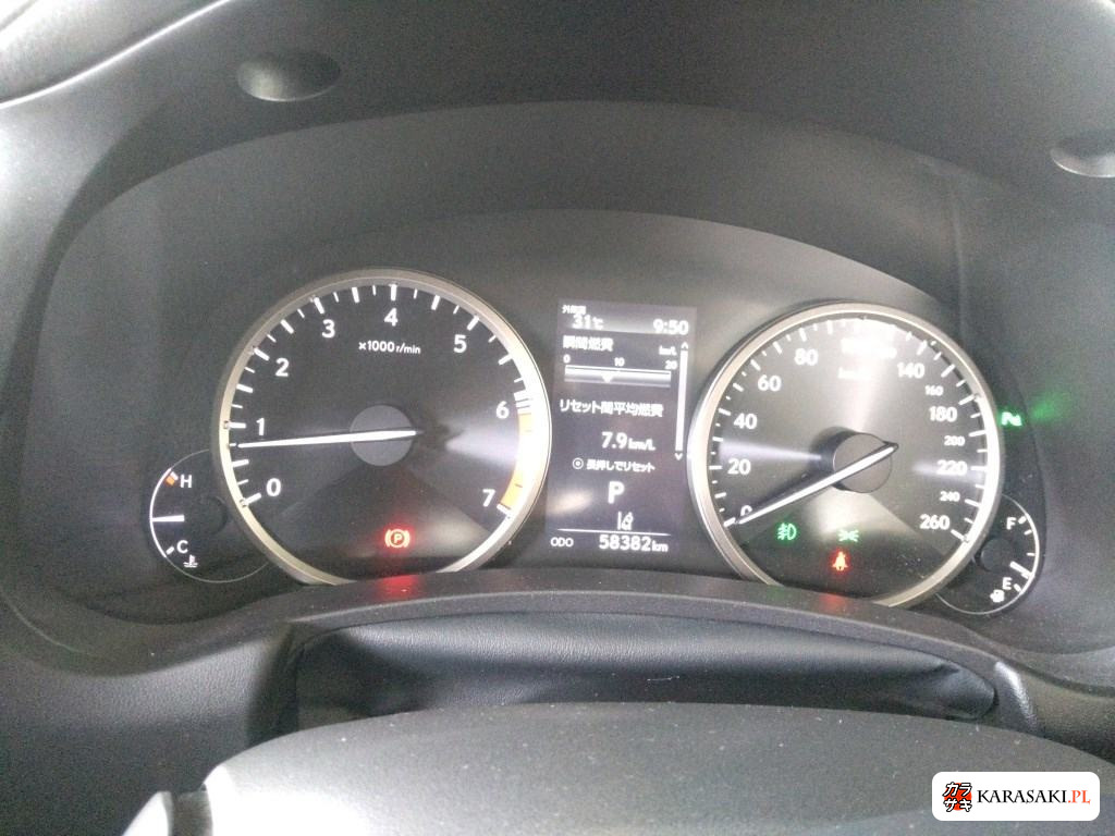 2021 Lexus NX NX300 Special Edition Spice And Chic 6
