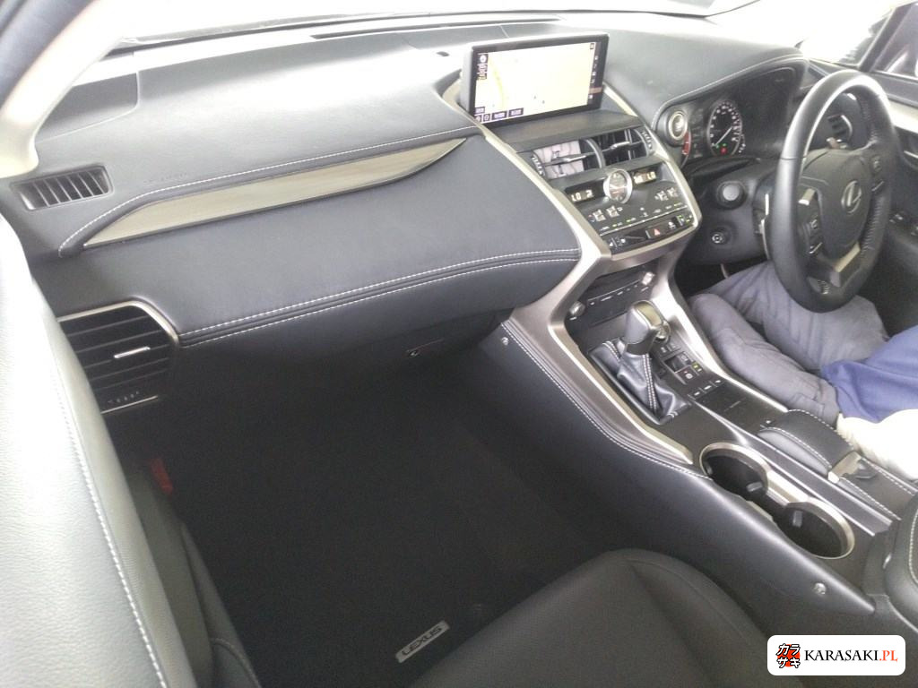 2021 Lexus NX NX300 Special Edition Spice And Chic 5