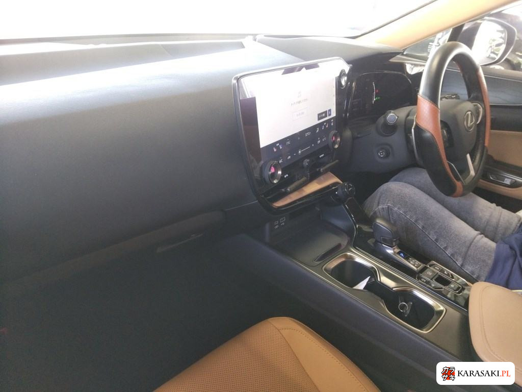 2023 Lexus NX 4WD NX250 Version L 5