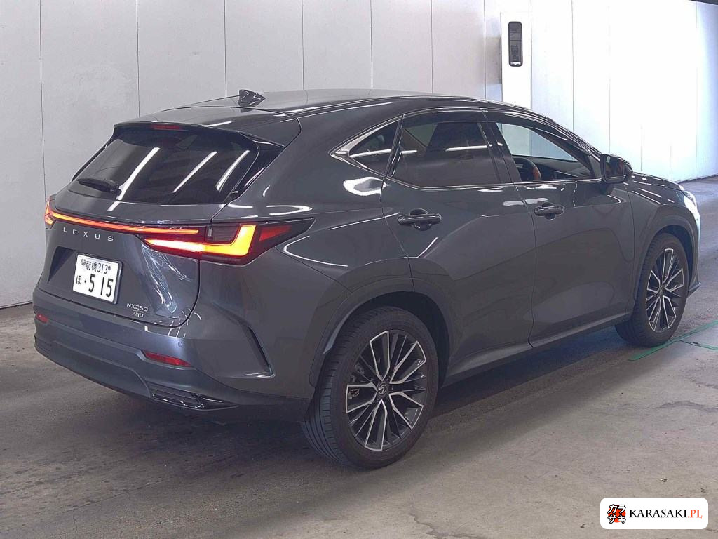 2023 Lexus NX 4WD NX250 Version L 4