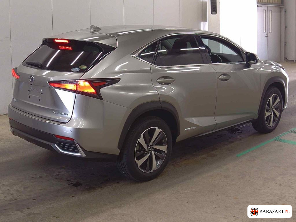 2019 Lexus NX NX300H I Package 4