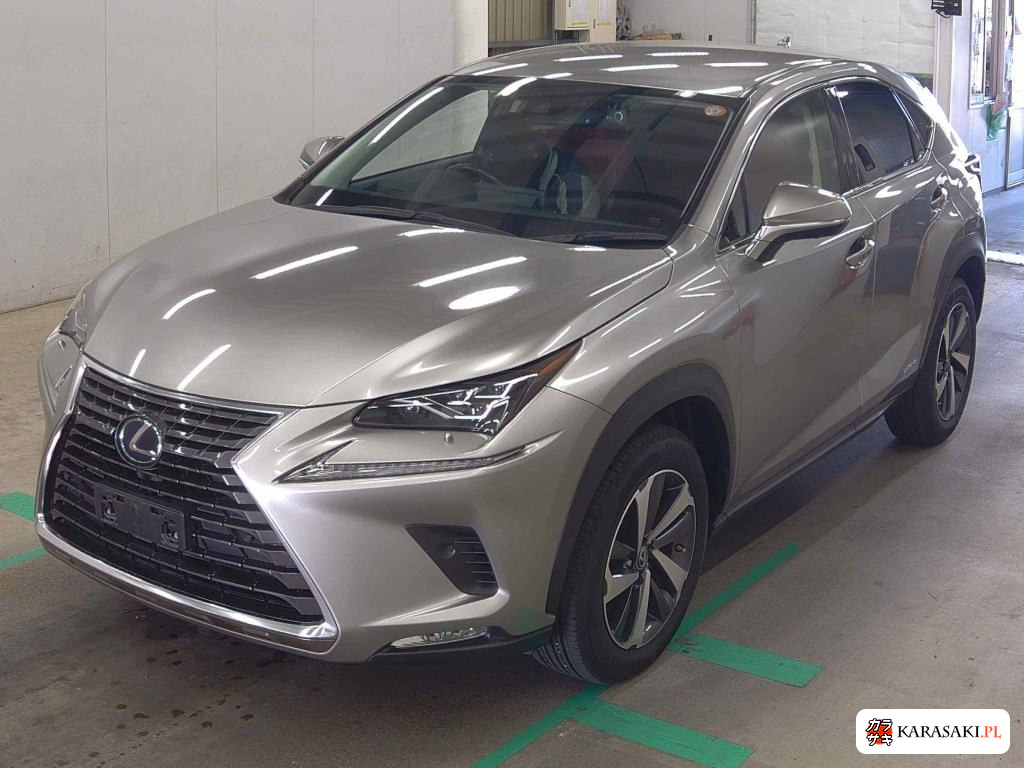 2019 Lexus NX NX300H I Package 3