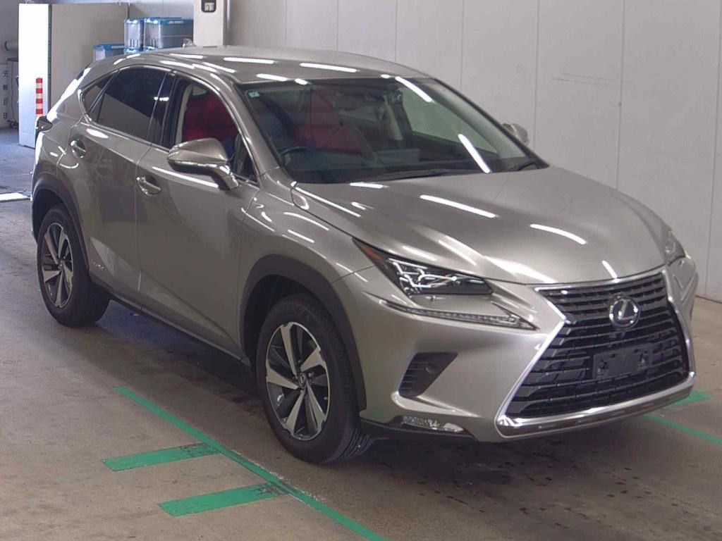 Lexus NX 2019 z aukcji japońskiej