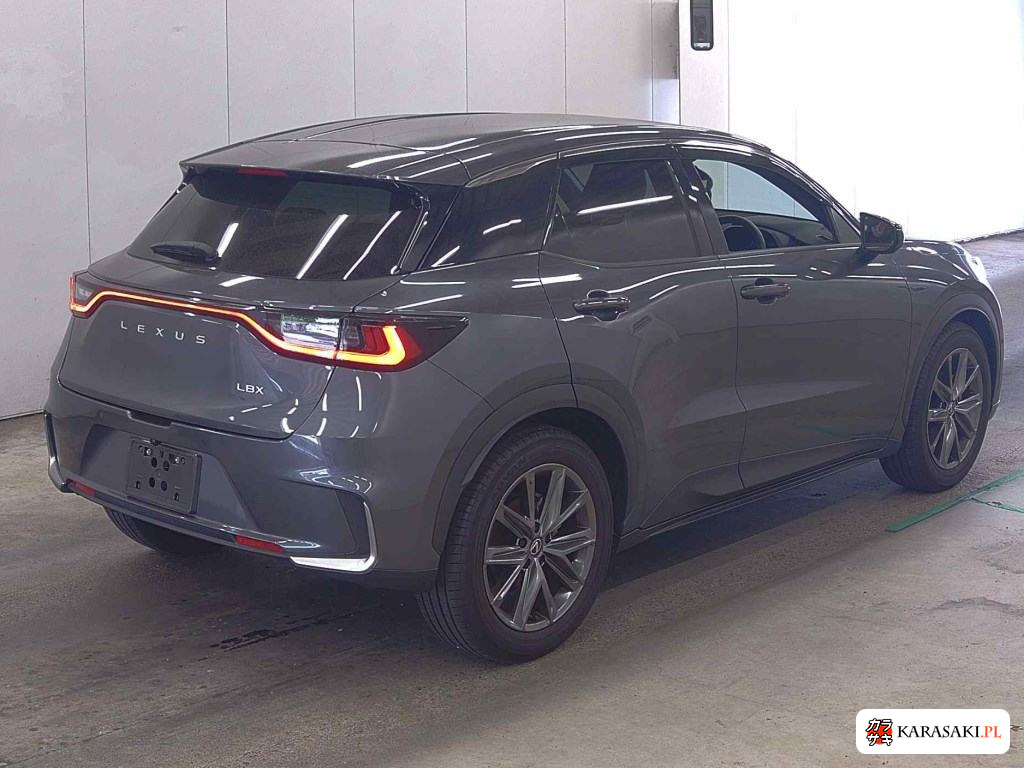 2024 Lexus LBX Relax 4