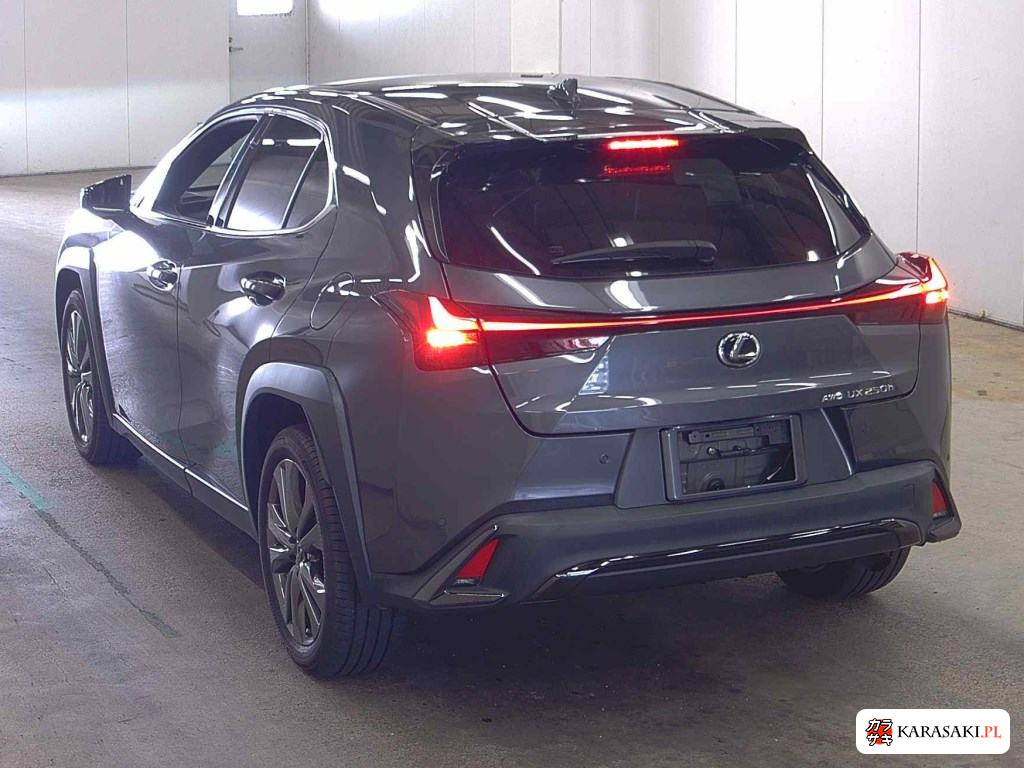 2023 Lexus Ux 4WD UX250H F Sport 2