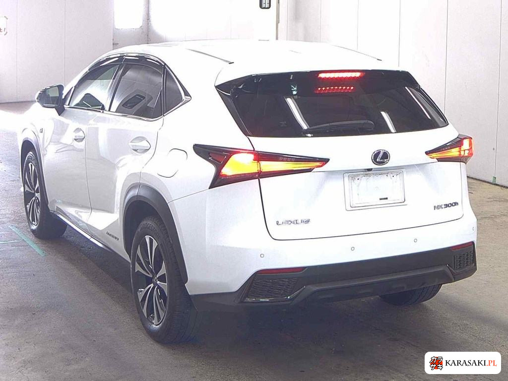 2019 Lexus NX 4WD NX300H F Sport 2
