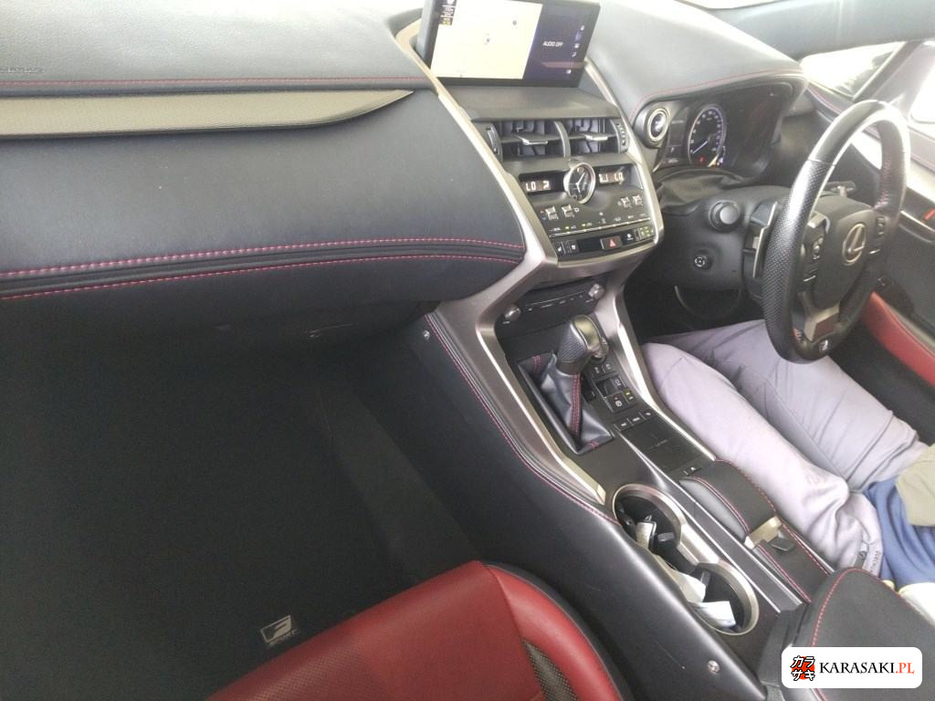 2019 Lexus NX 4WD NX300H F Sport 5