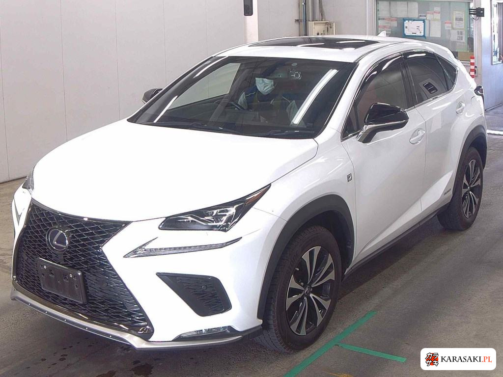 2019 Lexus NX 4WD NX300H F Sport 3