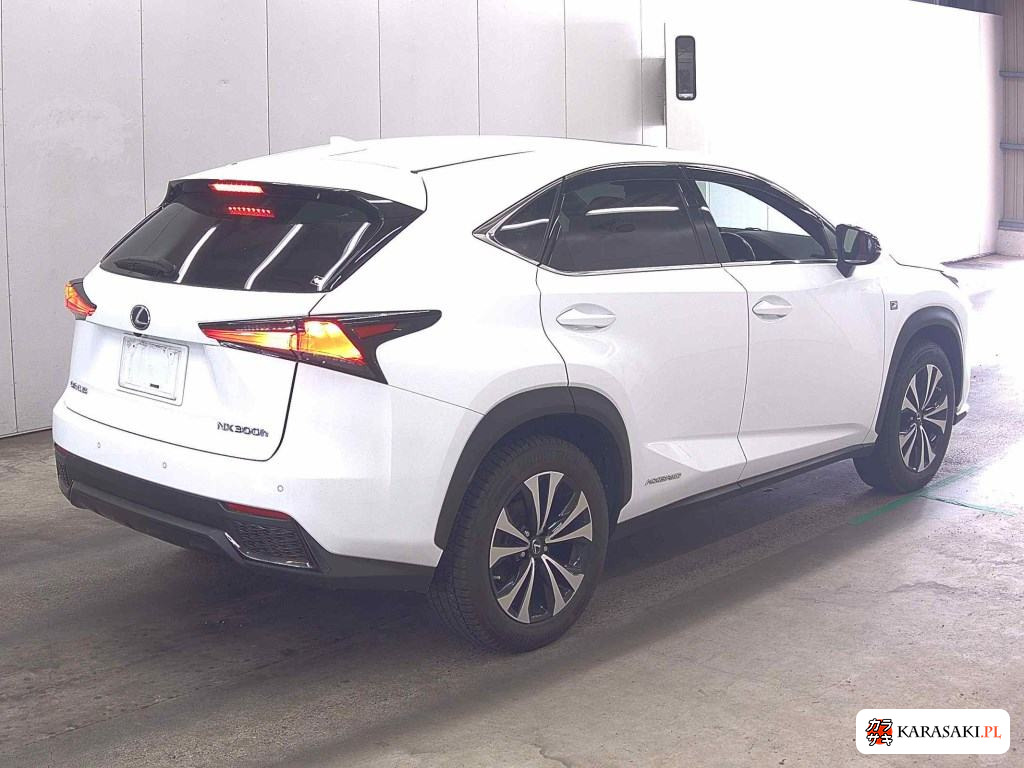 2019 Lexus NX 4WD NX300H F Sport 4