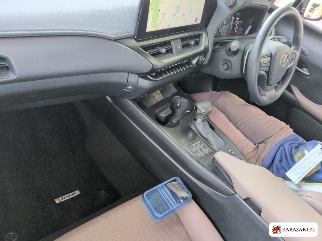 2023 Lexus Ux UX250H Graceful Explorer 5
