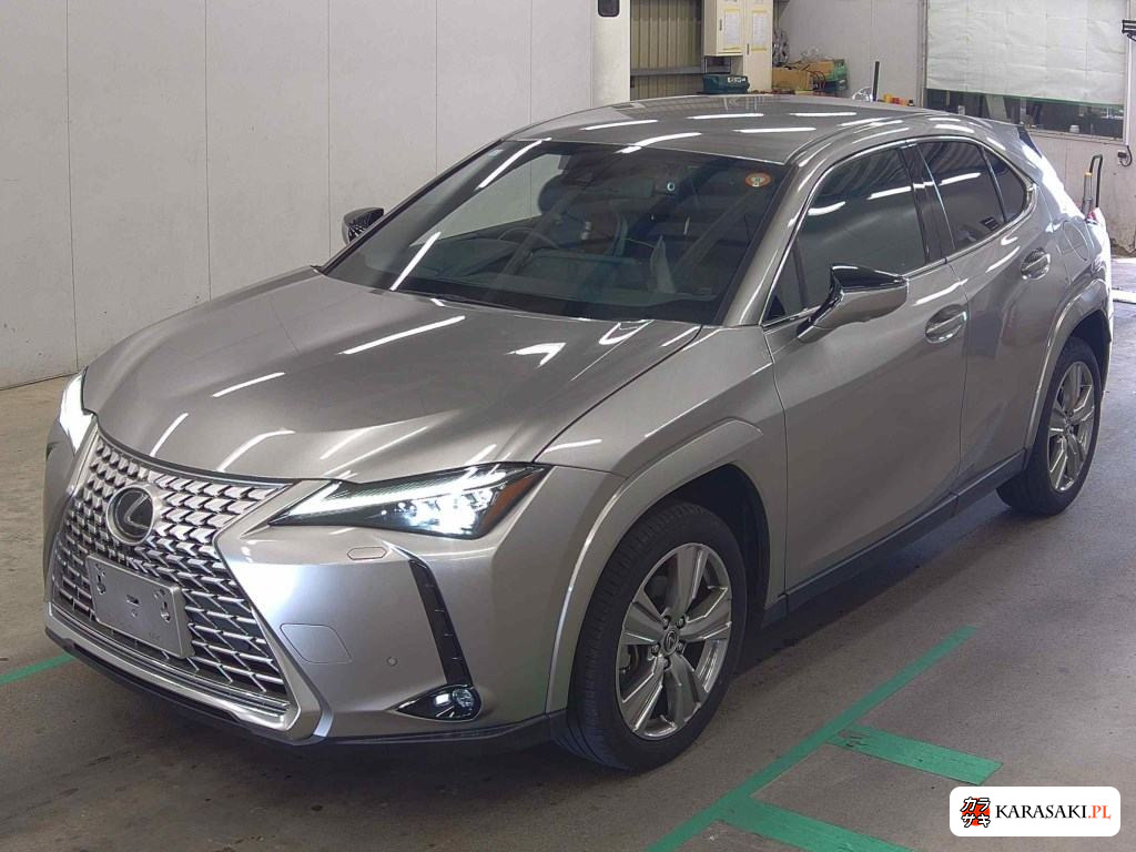 2023 Lexus Ux UX250H Graceful Explorer 3