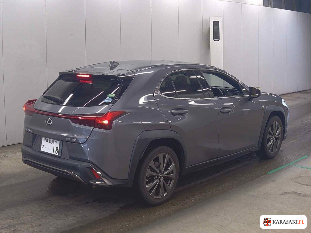 2019 Lexus Ux UX200 F Sport 4