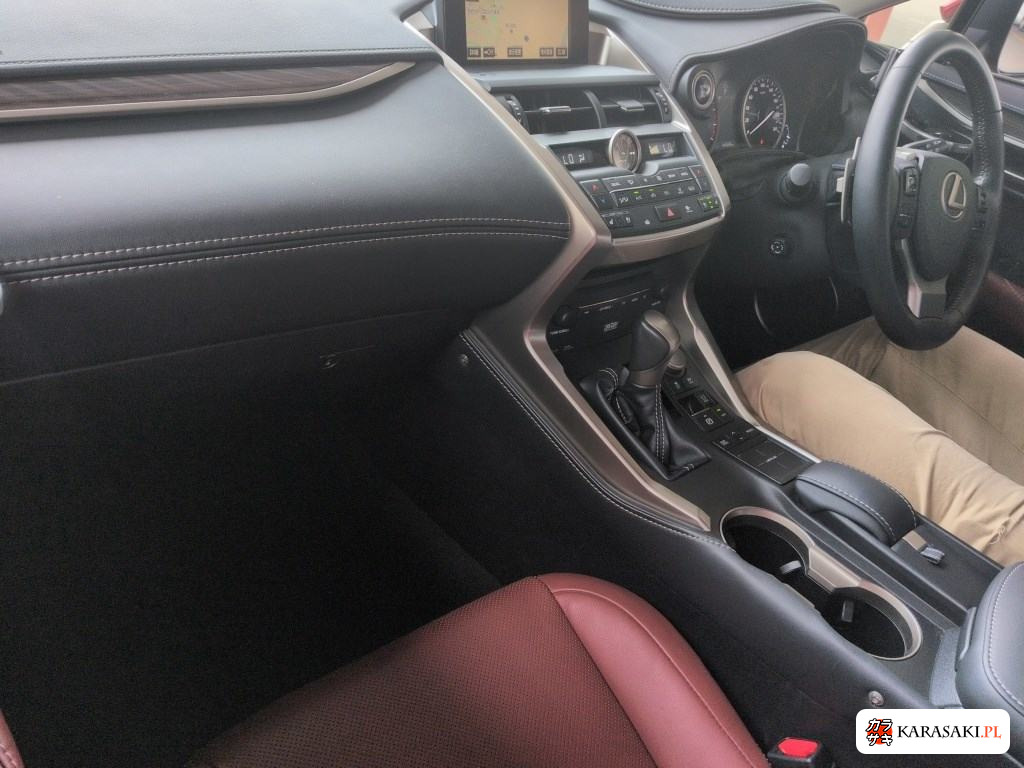 2014 Lexus NX 4WD NX300H Version L 5
