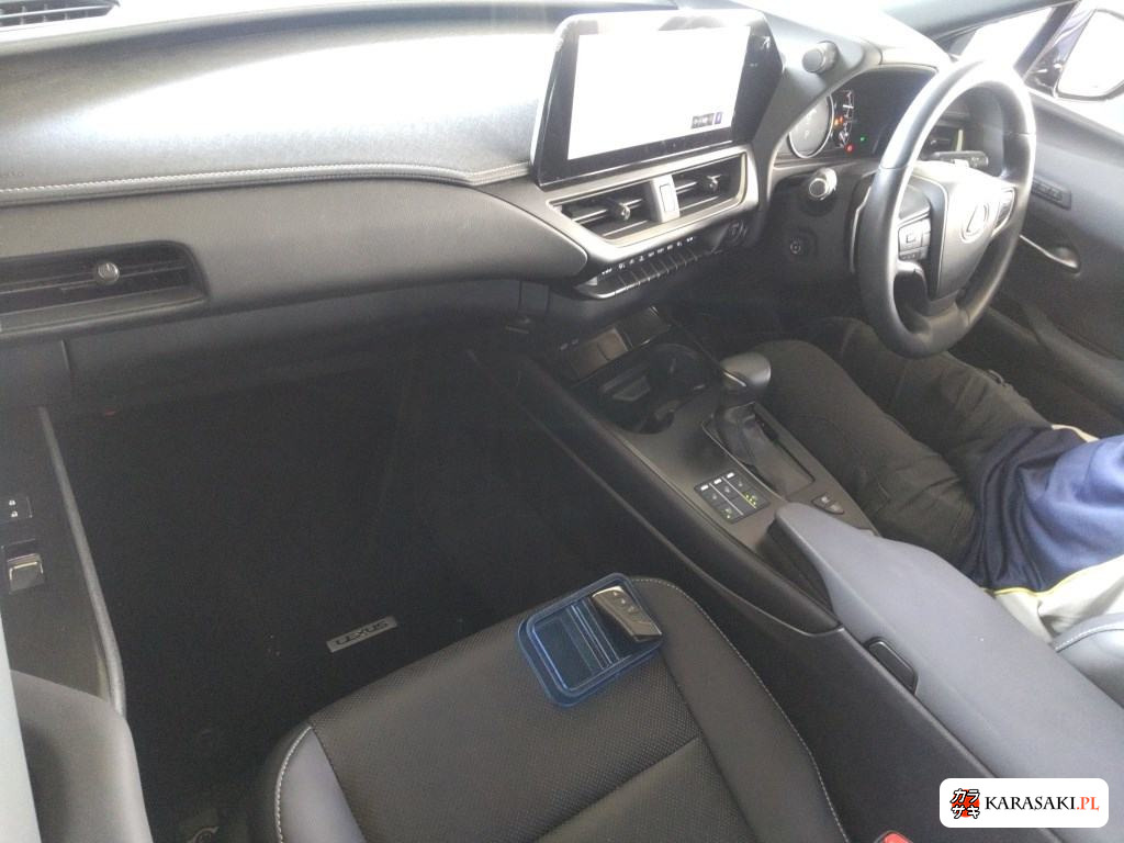 2023 Lexus Ux UX250H Version L 5
