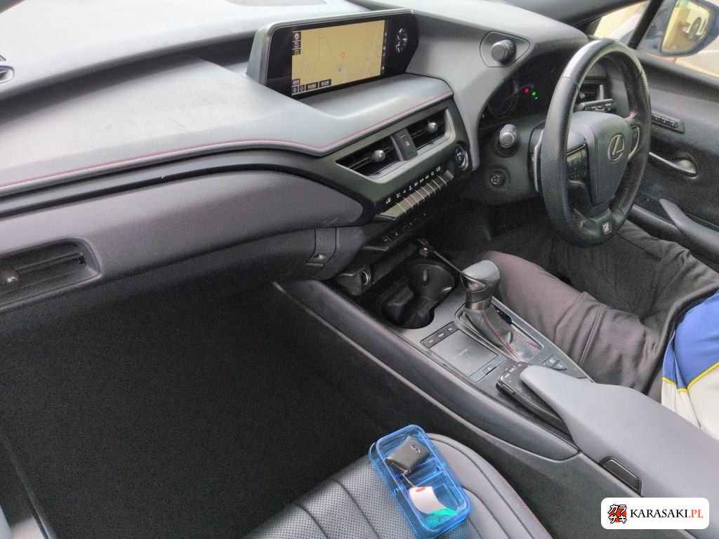 2021 Lexus Ux UX250H F Sport 5