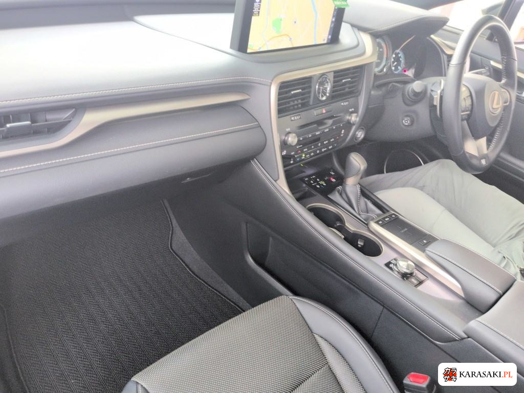 2021 Lexus RX RX300 F Sport 5
