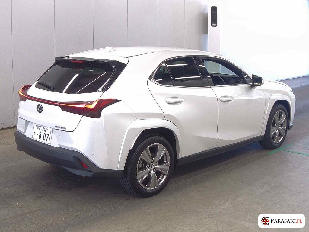 2023 Lexus Ux UX250H Graceful Explorer 4