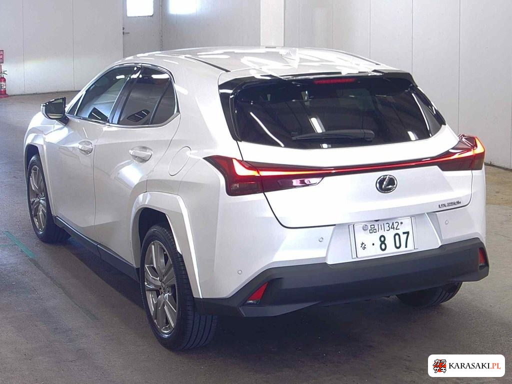 2023 Lexus Ux UX250H Graceful Explorer 2