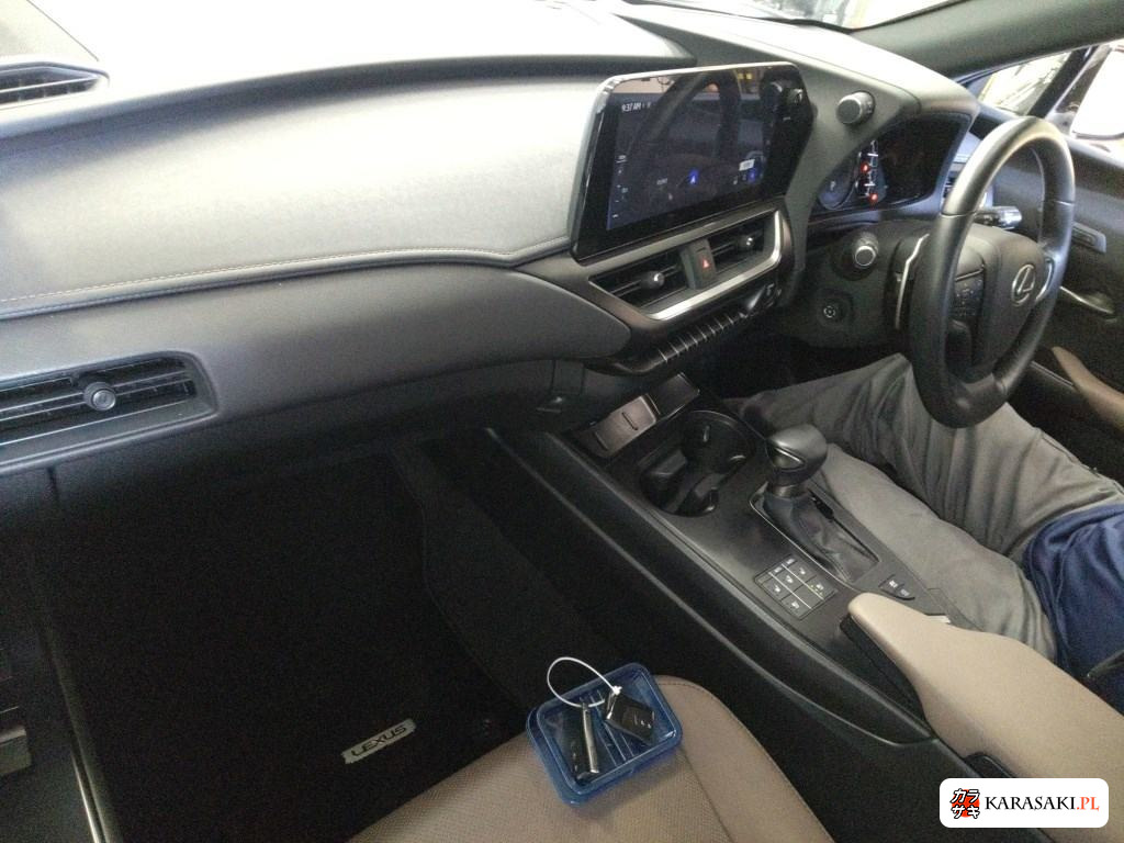 2023 Lexus Ux UX250H Graceful Explorer 5