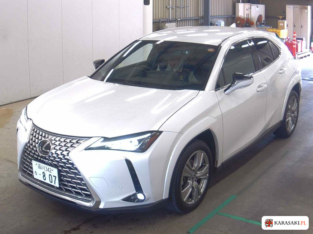 2023 Lexus Ux UX250H Graceful Explorer 3