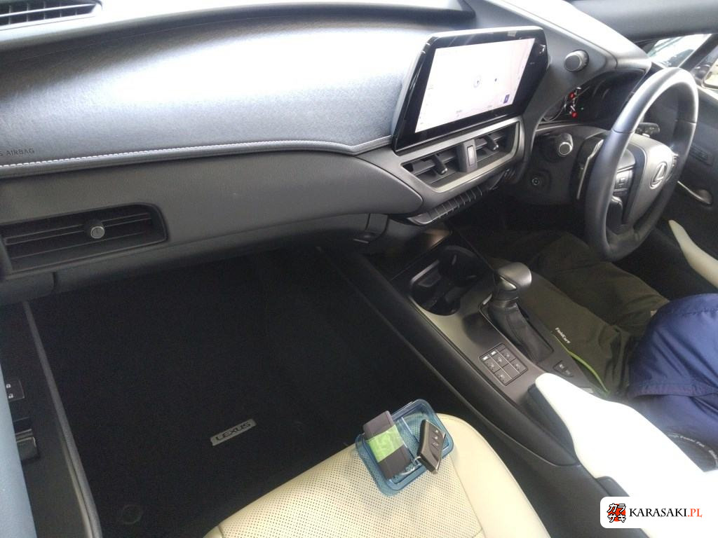 2023 Lexus Ux UX250H Version L 5