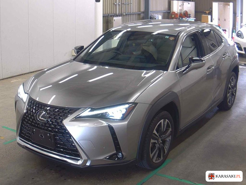 2023 Lexus Ux UX250H Version L 3