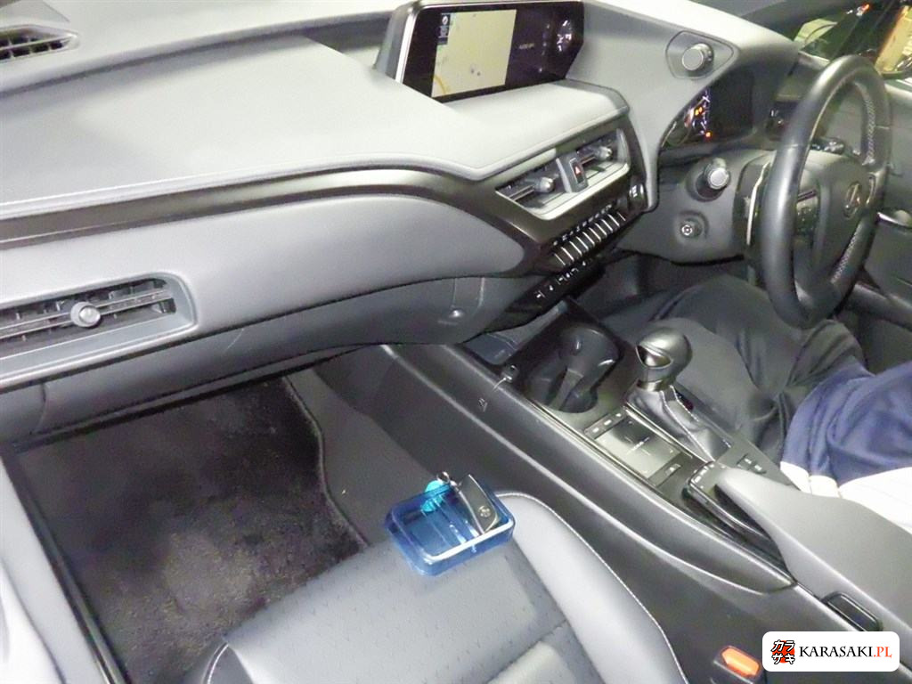 2020 Lexus Ux UX200 Version C 5