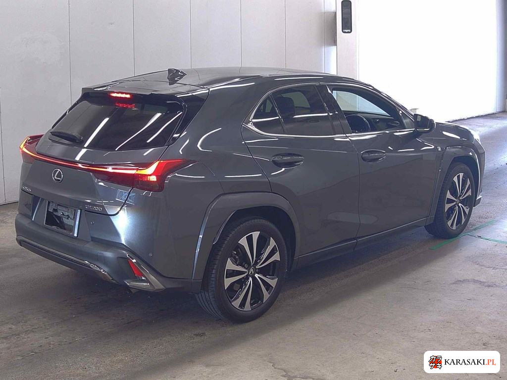 2021 Lexus Ux UX200 F Sport Style Blue 4