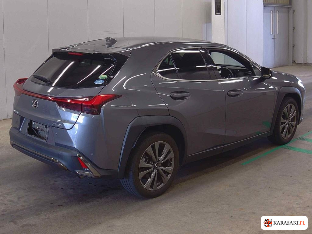 2020 Lexus Ux UX200 F Sport 4