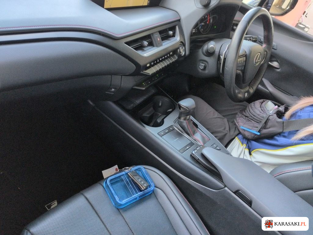 2020 Lexus Ux UX200 F Sport 5