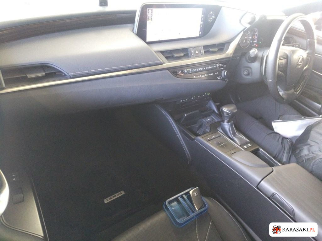 2019 Lexus Es ES300H Version L 5