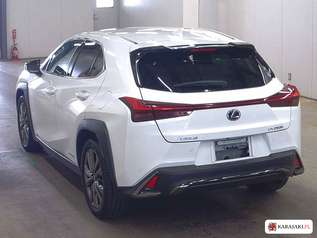 2019 Lexus Ux UX250H F Sport 2