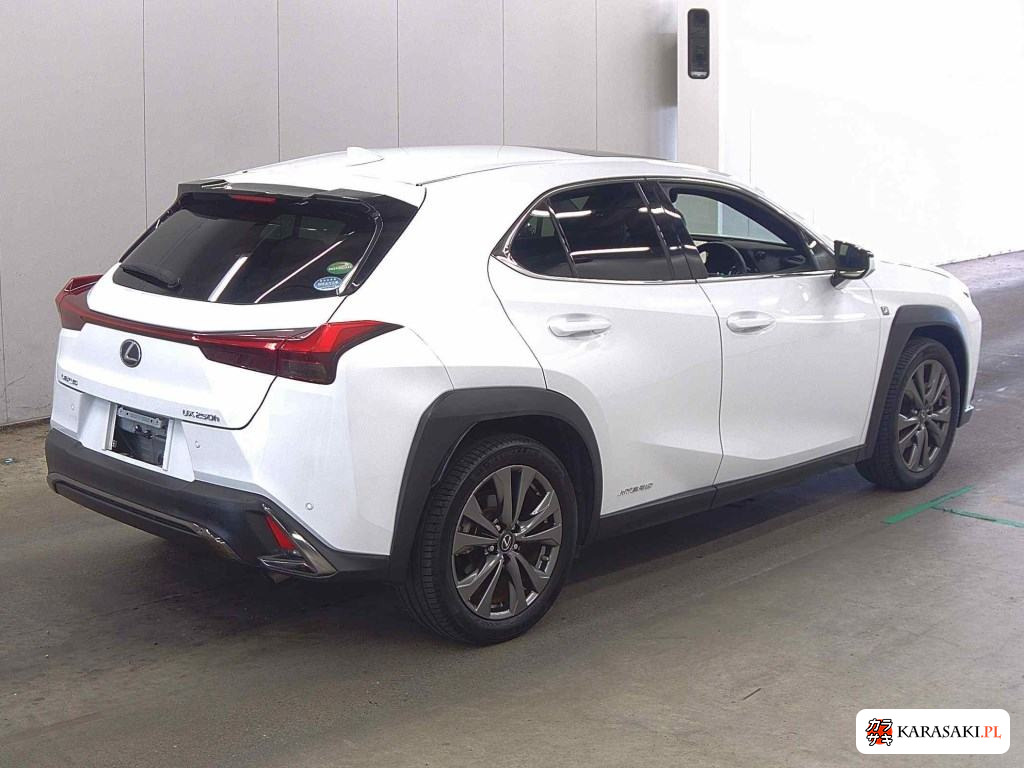 2019 Lexus Ux UX250H F Sport 4