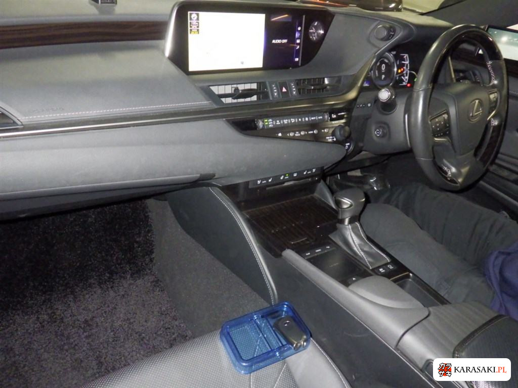 2019 Lexus Es ES300H Version L 5