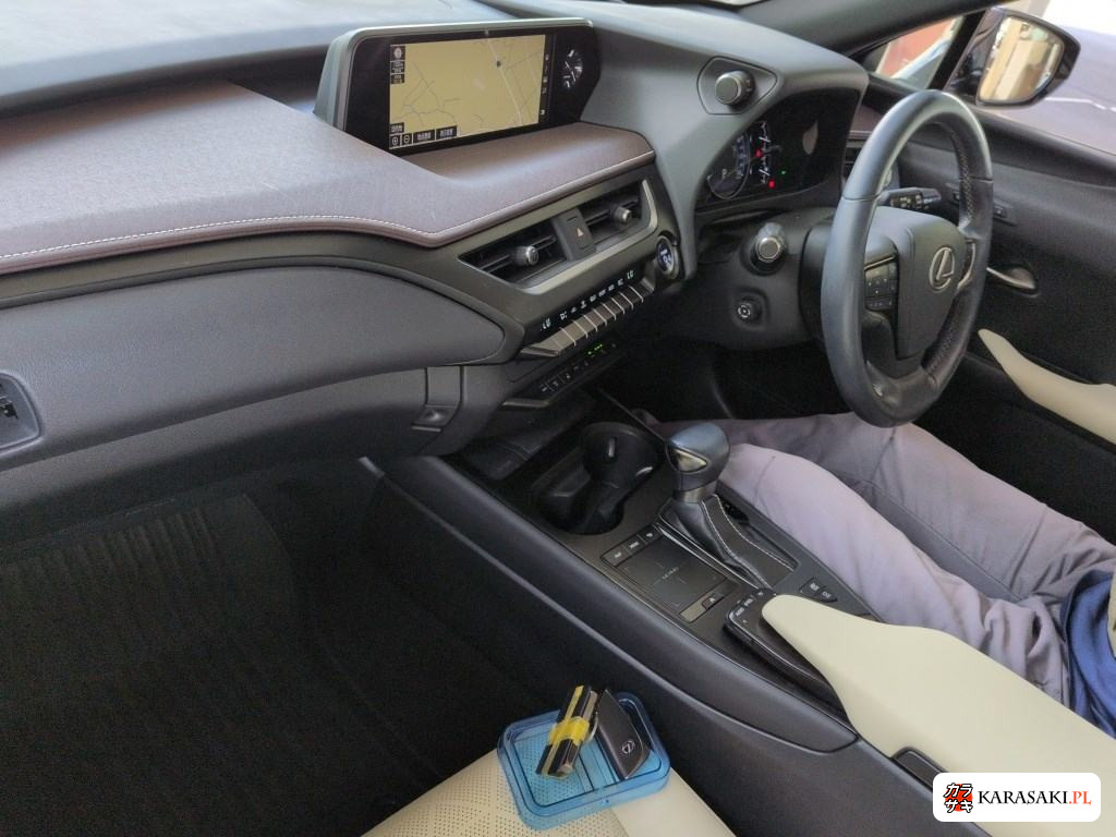 2019 Lexus Ux UX250H Version L 5