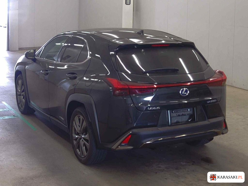 2019 Lexus Ux UX250H F Sport 2