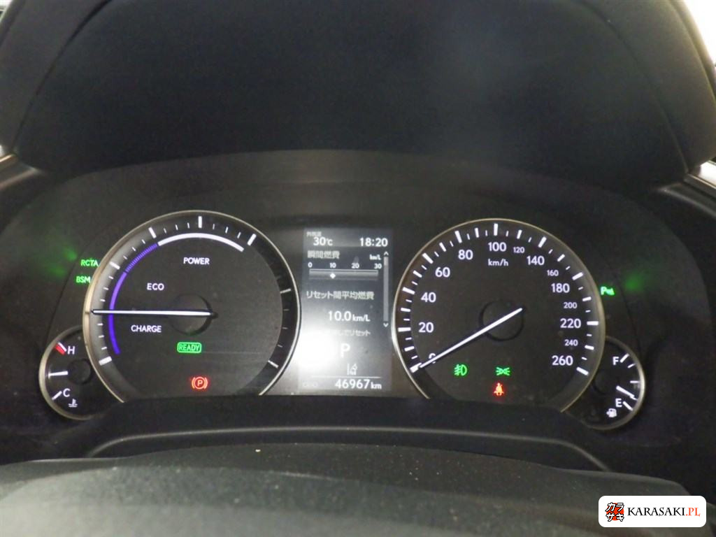 2019 Lexus RX 4WD RX450HL 6